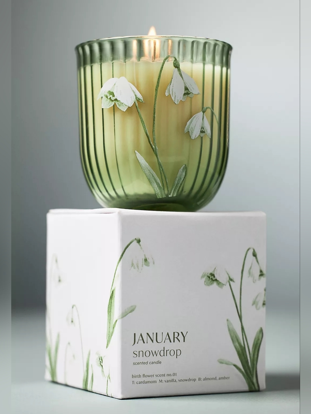 Anthropologie January Birth Month Flower Boxed Candle